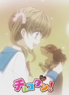 Chokotan! Image