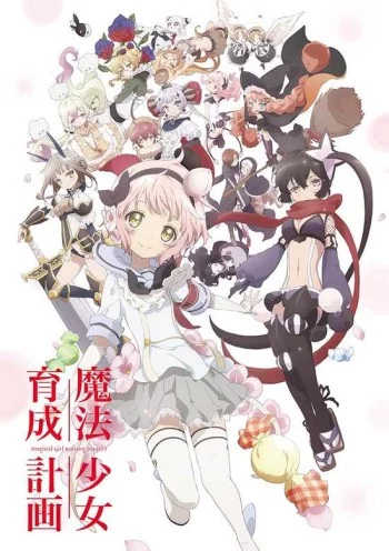 Mahou Shoujo Ikusei Keikaku Image