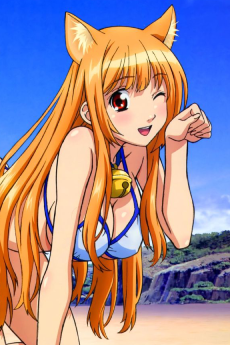 Asobi ni Iku yo! Asobi ni Oide VOSTFR