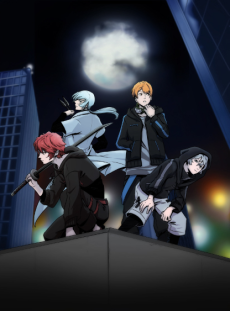 Ninja Collection VOSTFR