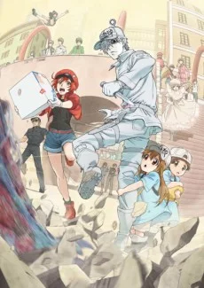 Hataraku Saibou Image