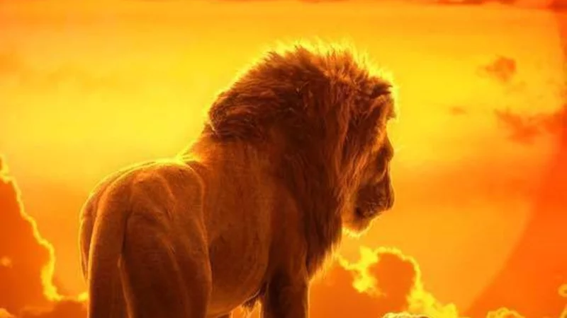 Le Roi Lion Film Image