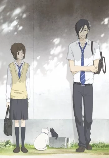 Sukitte Ii na yo. Image