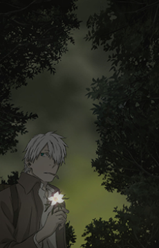 Mushishi Special: Hihamukage VOSTFR
