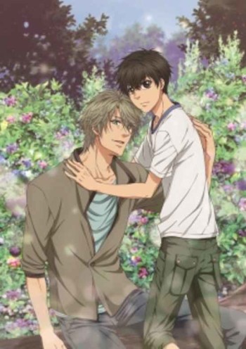 Super Lovers 2 VOSTFR